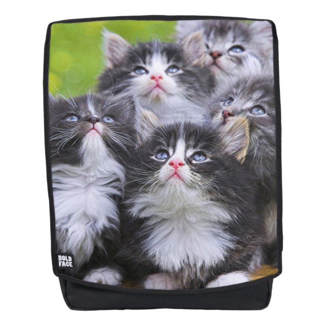Mochila Gatitos (Anverso)