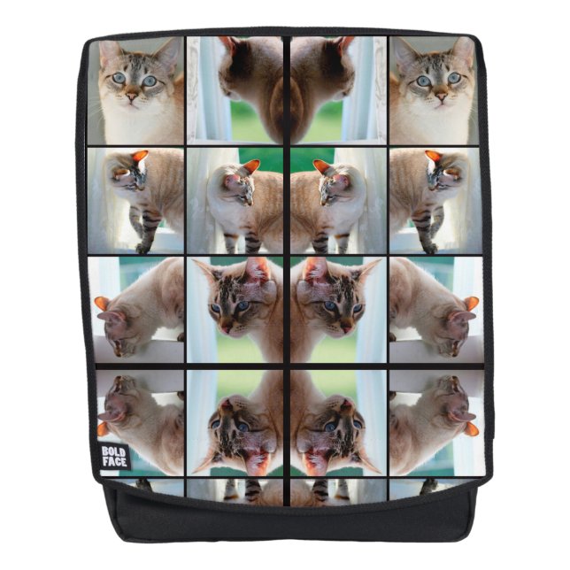 Mochila Gato siamés Lynx Point (Anverso)