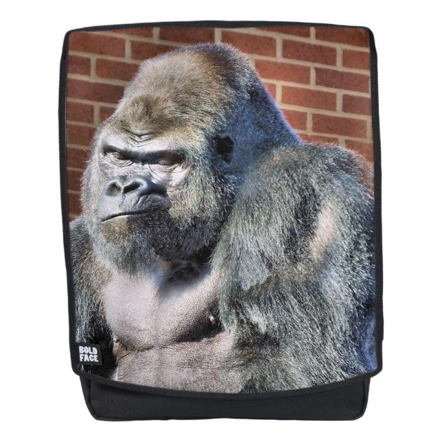 MOCHILA GORILLA (Anverso)