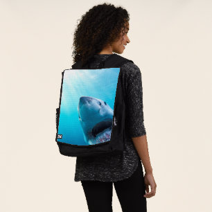 Mochila Gran Tiburón Blanco   Sudáfrica