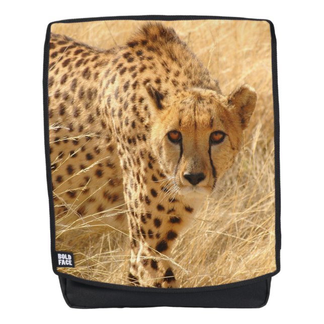 Mochila Guepardo (Anverso)