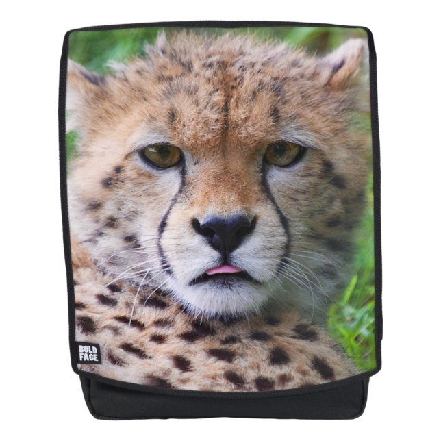 Mochila Guepardo (Anverso)