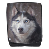 Husky Siberian