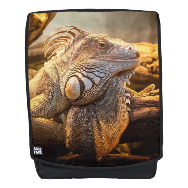 Mochila Lagarto (Anverso)
