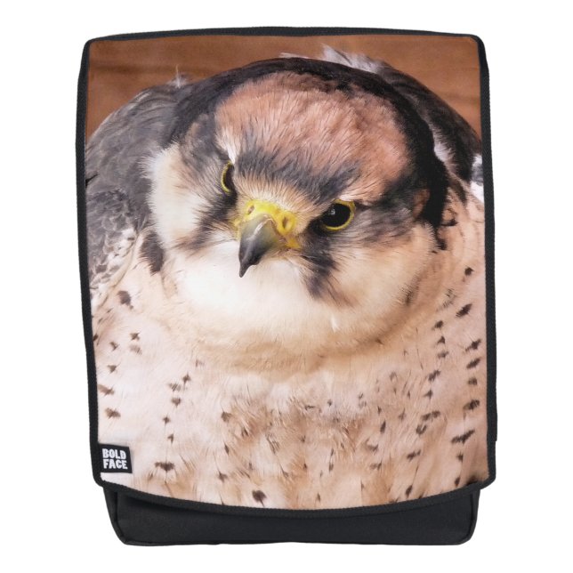 MOCHILA LANNER FALCON (Anverso)