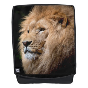 Mochila León
