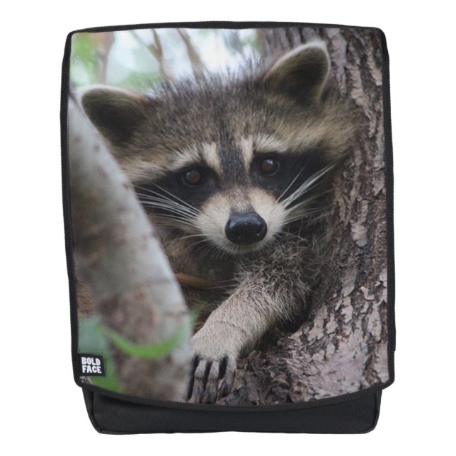 Mochila Mapache (Anverso)