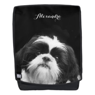 mochila negrita del perro negro de Shih Tzu