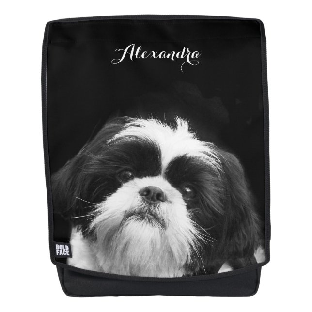 mochila negrita del perro negro de Shih Tzu (Anverso)