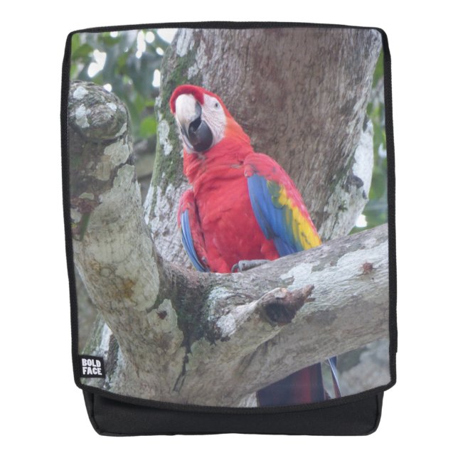 Mochila para adultos loro Jungle de Costa Rica (Anverso)