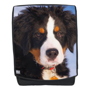 Mochila Perro de montaña de Berna