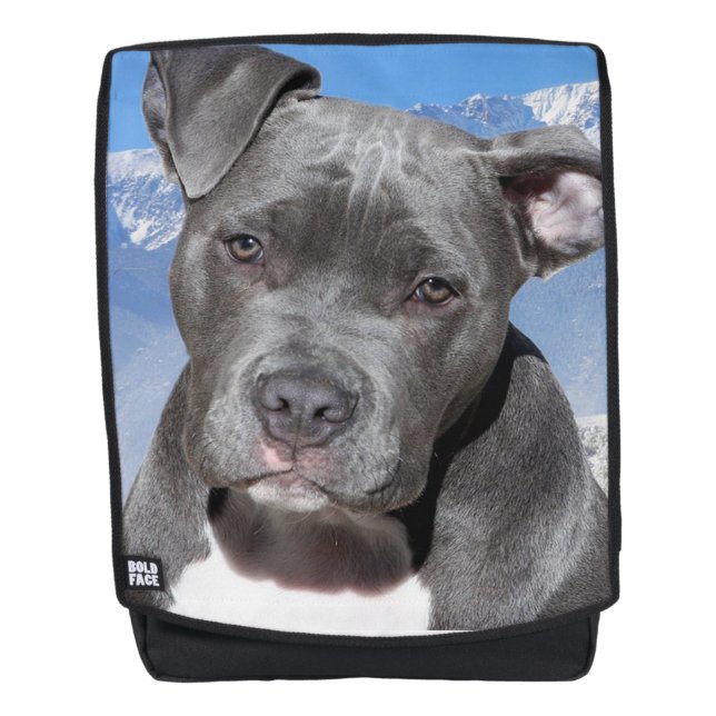 Mochila Pit Bull (Anverso)