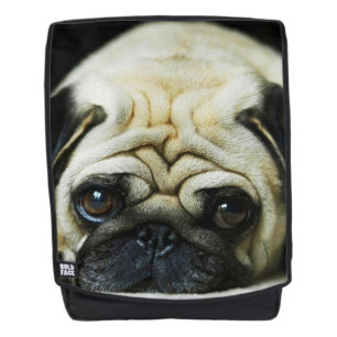 Mochila Pug