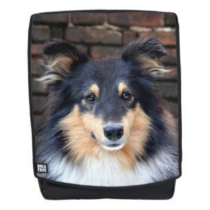 Mochila Sheltie tricolor hace frente
