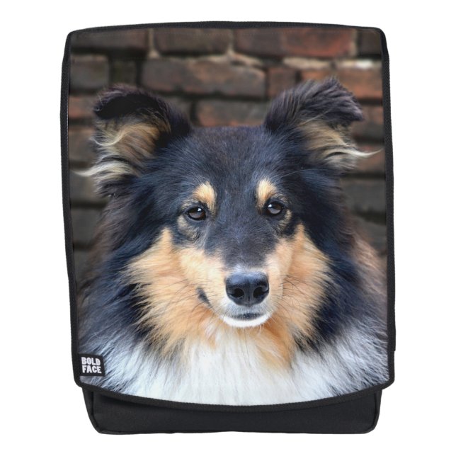 Mochila Sheltie tricolor hace frente (Anverso)