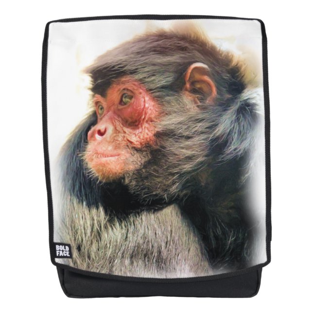 MOCHILA SPIDER MONKEY (Anverso)