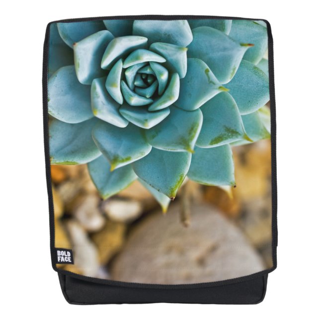Mochila Suculento con guijarros (Anverso)