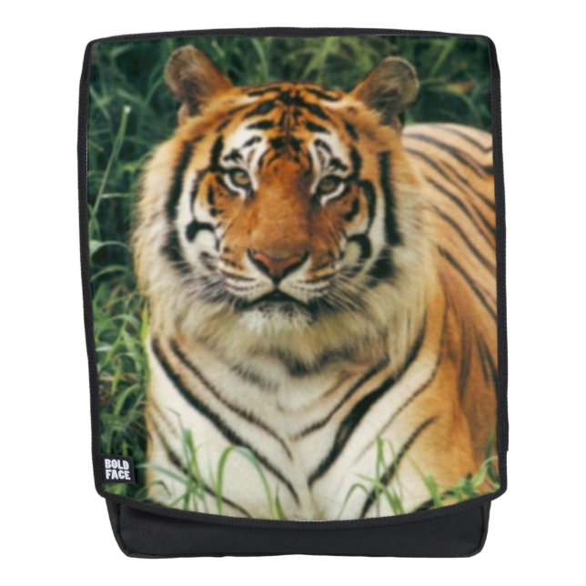Mochila Tigre de Bengala (Anverso)