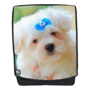 Mochila Yorkie