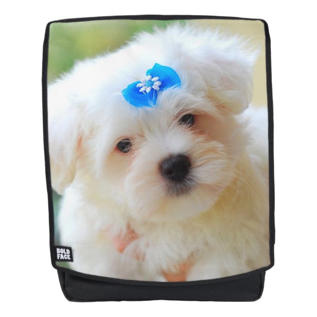 Mochila Yorkie (Anverso)