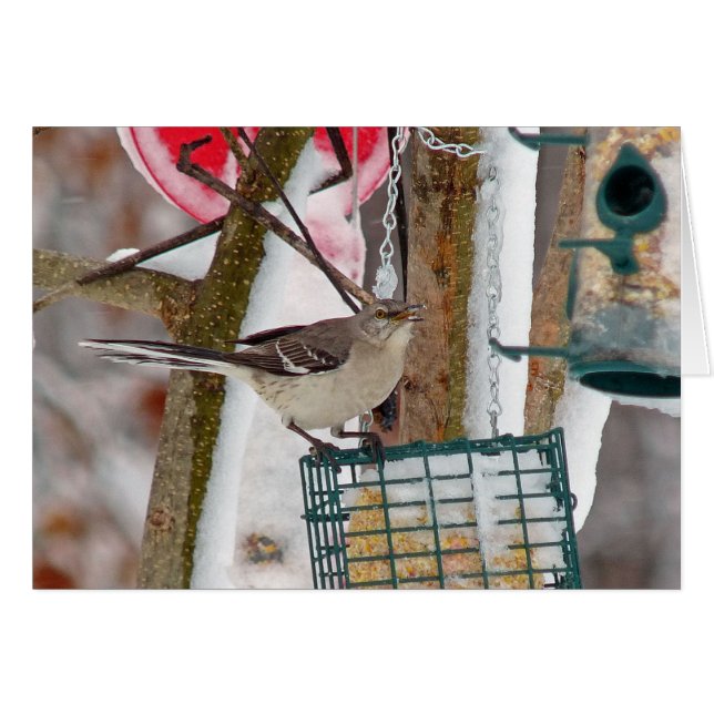 Mockingbird (Anverso (Horizontal))