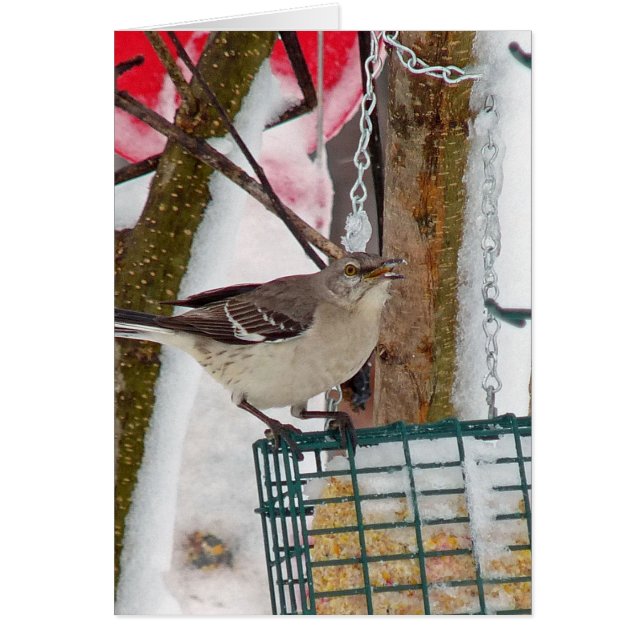 Mockingbird (Frente)