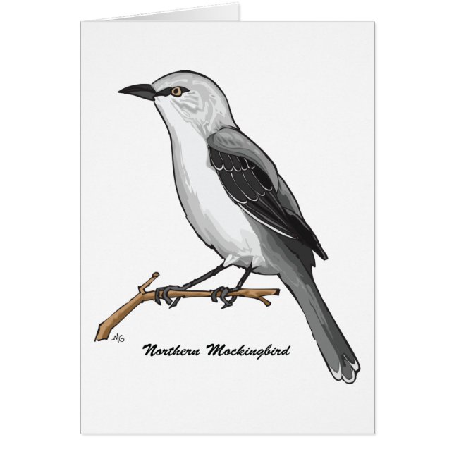 MOCKINGBIRD SEPTENTRIONAL (Frente)