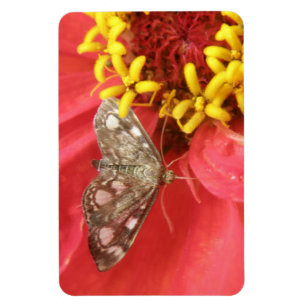 Moda de bonito en imán premium de flores rojas