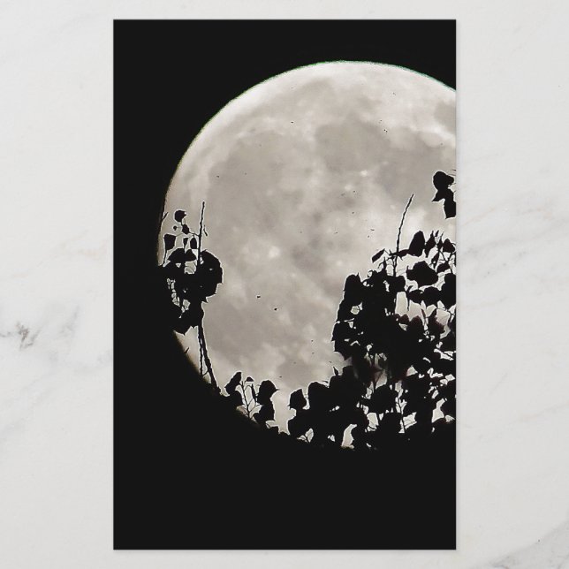 Moda detrás de hojas oscuras (Anverso)