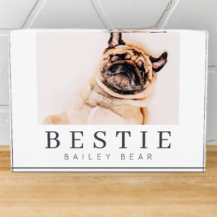 Moda minimalista moderna Mascota Bestie BFF Foto