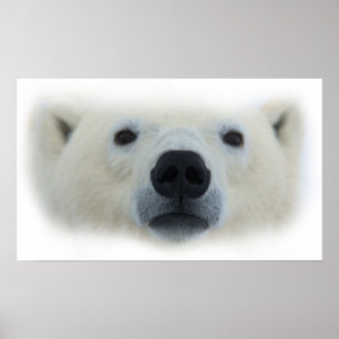 Moda única Poster de arte de oso polar con impresi