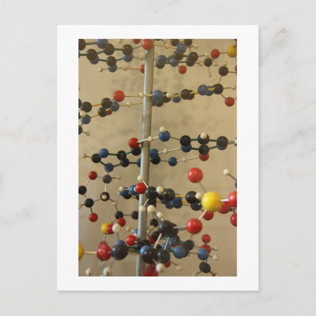 modelo de ADN de tarjeta postal (Anverso)