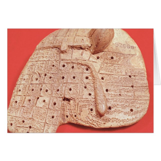 Modelo de hígado de oveja (Anverso (Horizontal))