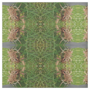 modelo de la hierba de los ojos verdes, tela