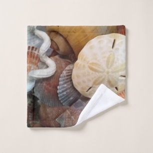 Modelo del dólar de arena de los Seashells