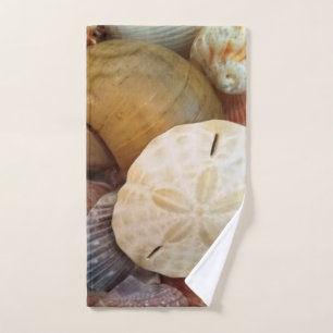 Modelo del dólar de arena del Seashell