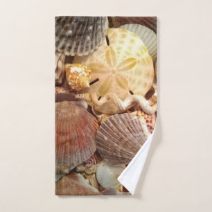 Modelo del dólar de arena del Seashell