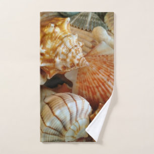 Modelo del Seashell