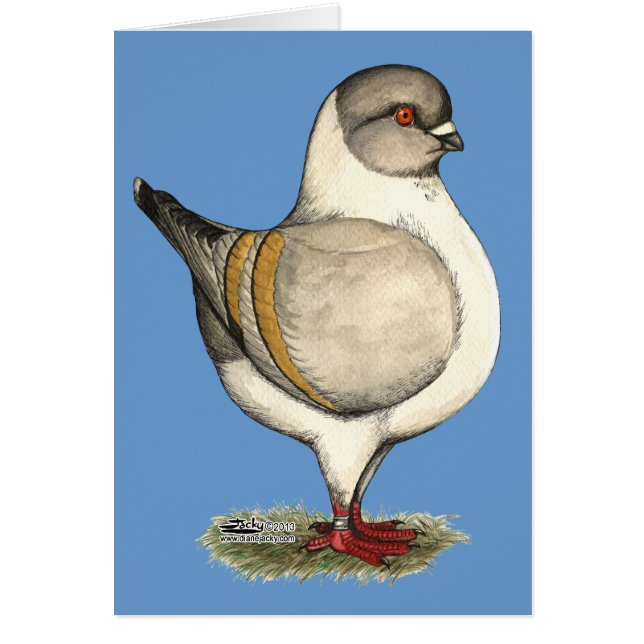 Modena Silver Gazzi (Frente)