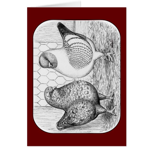 Modenas dos palomas (Frente)