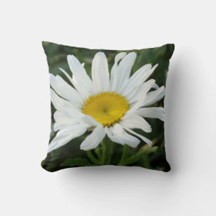 Moderna almohada de margarita blanca
