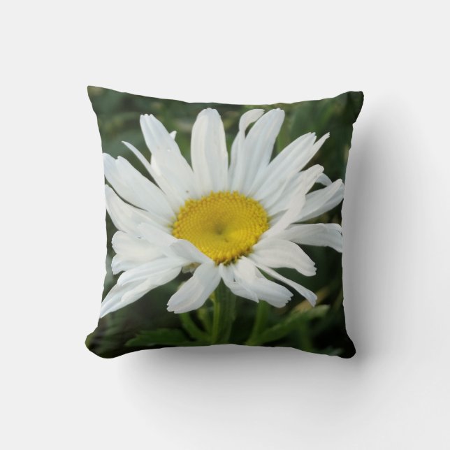 Moderna almohada de margarita blanca (Anverso)