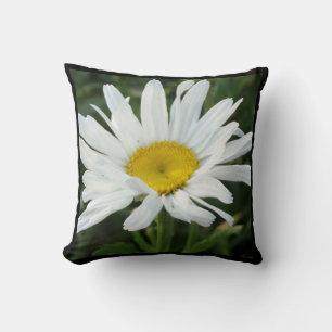 Moderna almohada de margarita blanca