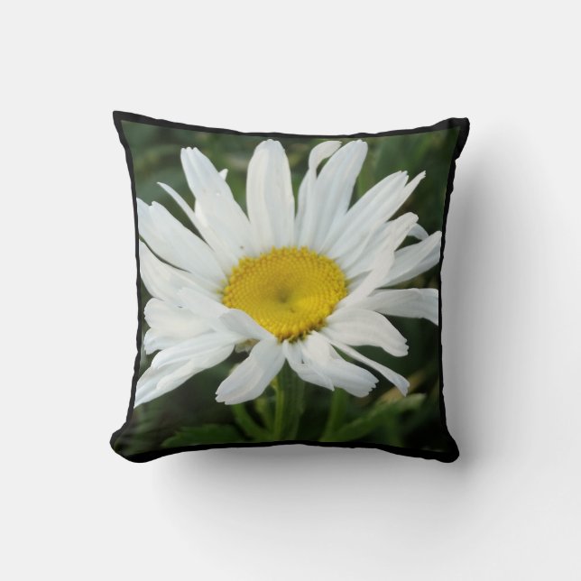 Moderna almohada de margarita blanca (Anverso)