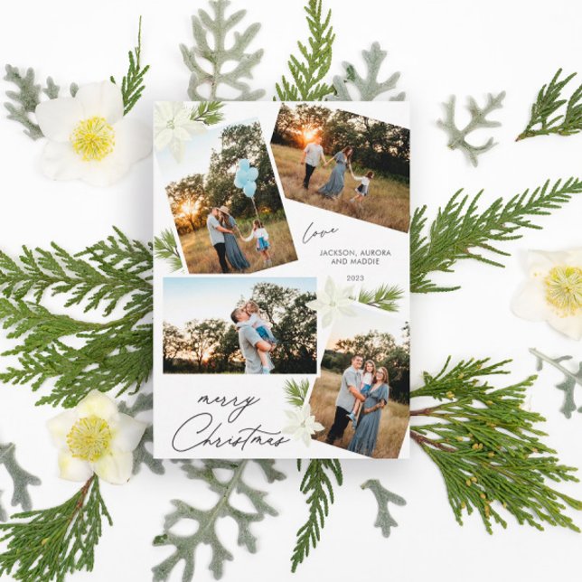 Moderna Feliz Navidad 4 foto Poinsettia (Subido por el creador)