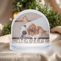 Moderna, sencilla y elegante foto de Mascota de Mo