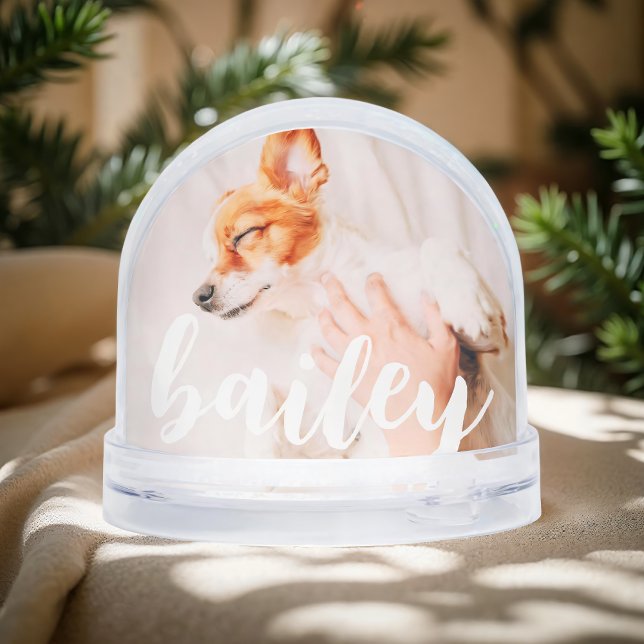 Moderna y lúdica foto de Mascota de Moda simple y  (Subido por el creador)