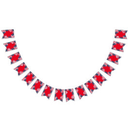 Moderno 4 de julio Bandera Patriótica Estadouniden