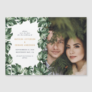Moderno boda de fotografía de palmera tropical ver