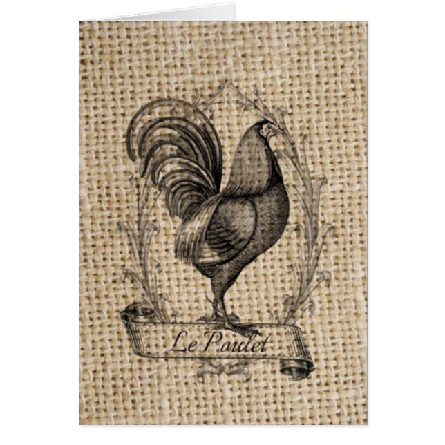 Moderno gallo de campo de pollo de granja francés (Frente)